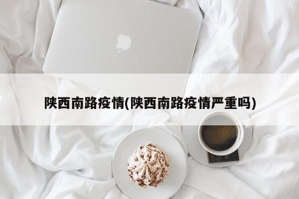 陕西南路疫情(陕西南路疫情严重吗)
