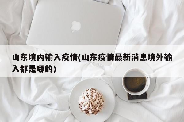山东境内输入疫情(山东疫情最新消息境外输入都是哪的)